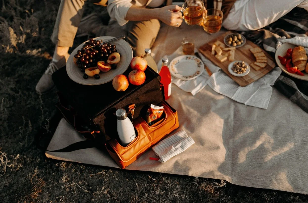 picnic blanket travel