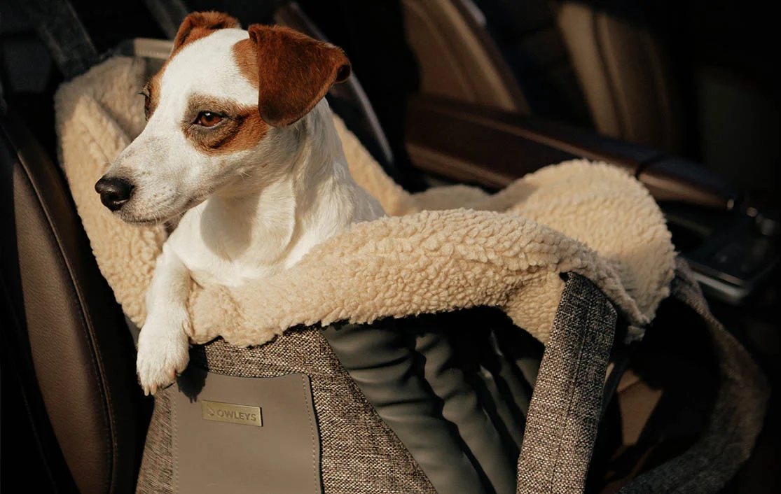 Lancashire Heeler Dog Carrier Car Seat for Nissan Sentra