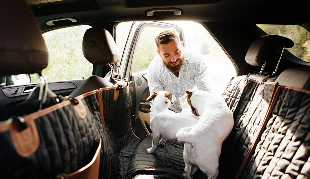 dog back seat cover for Dodge Charger