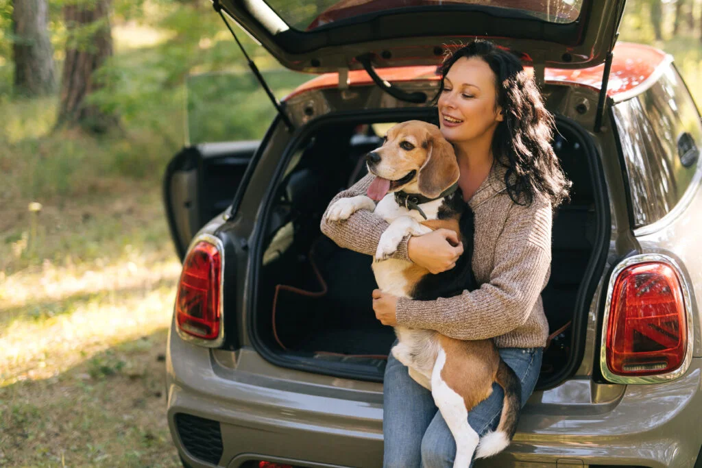 pet seat cover for Lexus RX