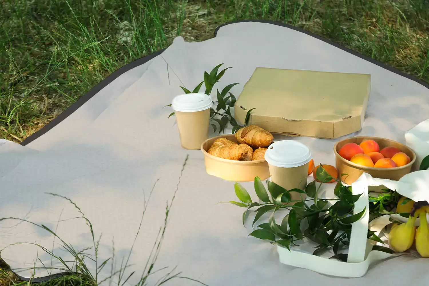 foldable picnic blanket