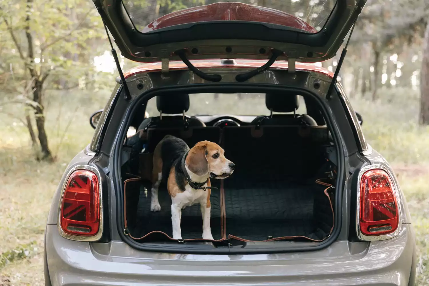 Staffordshire Bull Terriers back seat cover for Ford Mustang