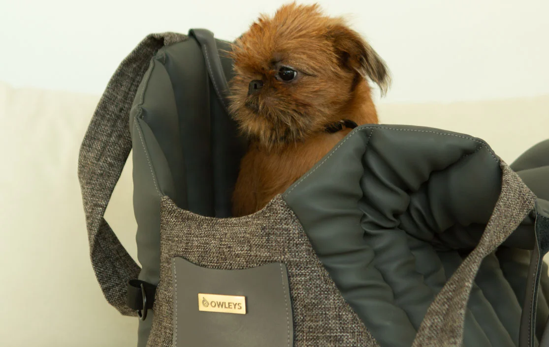 Dog Carrier Purse for Belgian Griffon