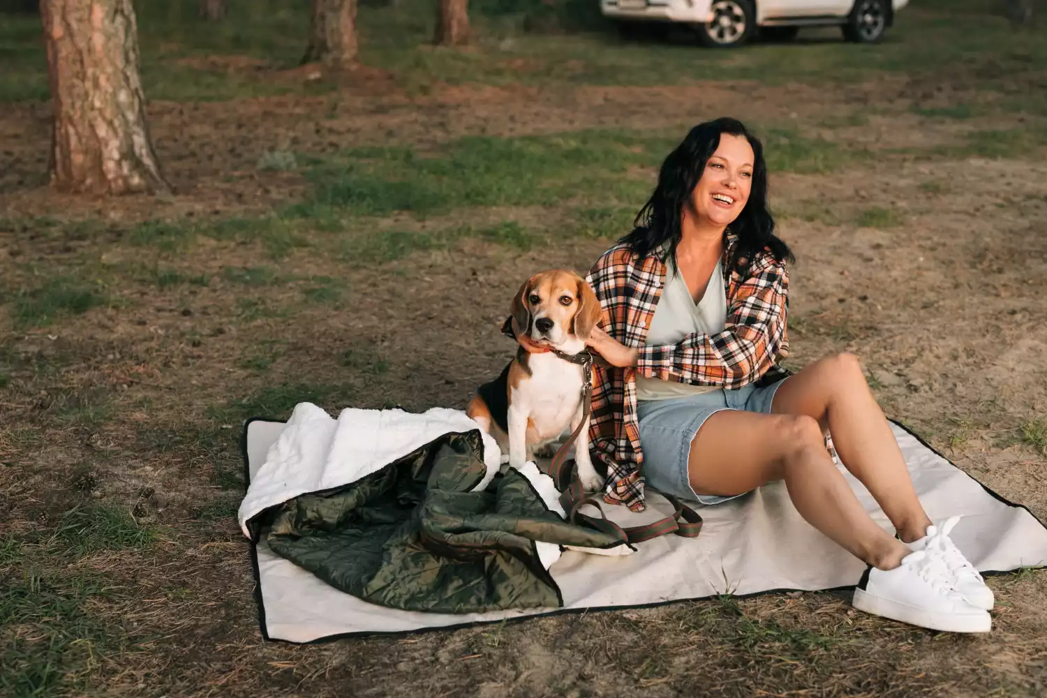 picnic blanket portable