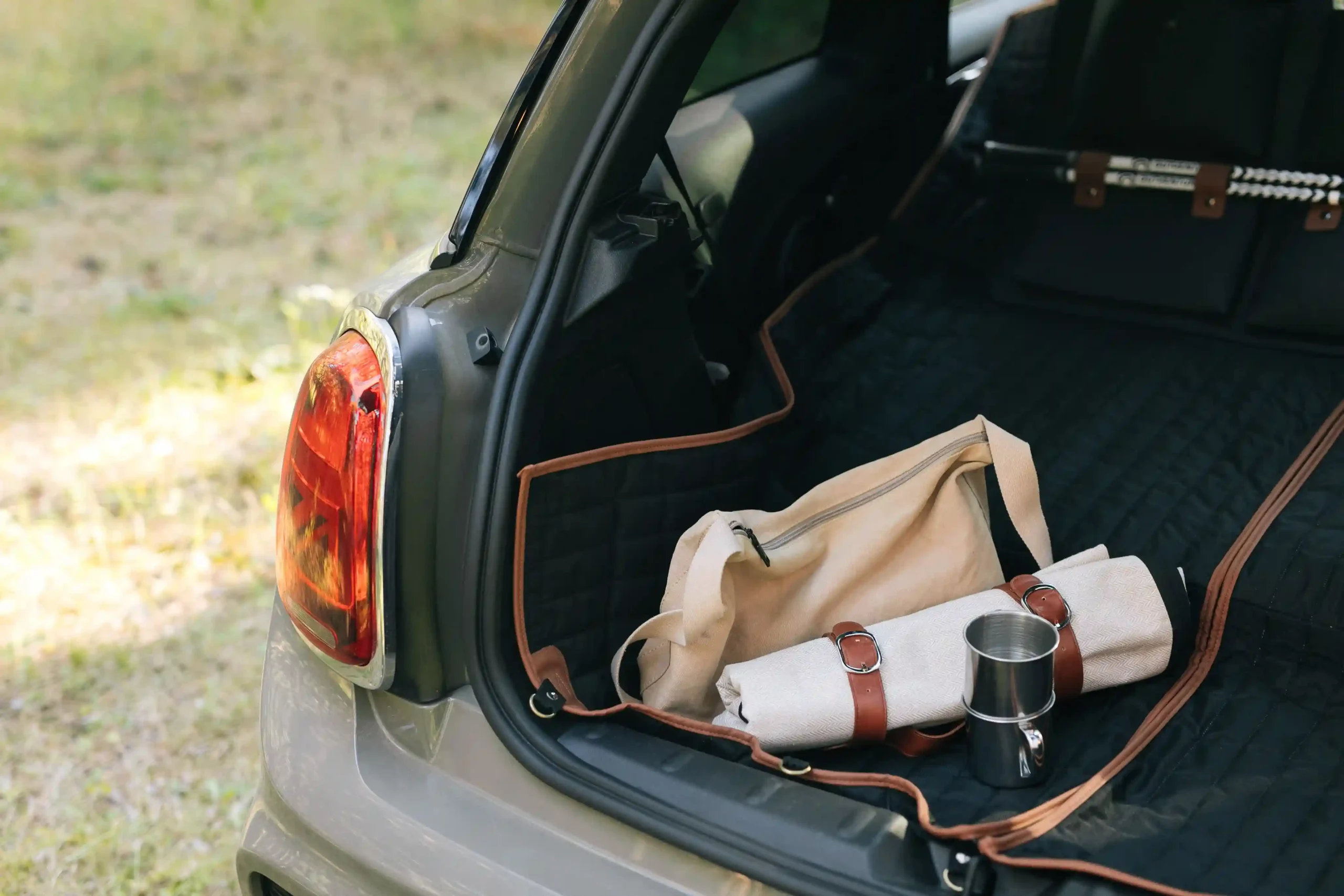 picnic blanket carry strap