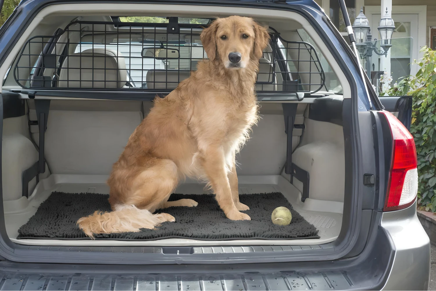 Papillon Dog Carrier Car Seat for Subaru Forester