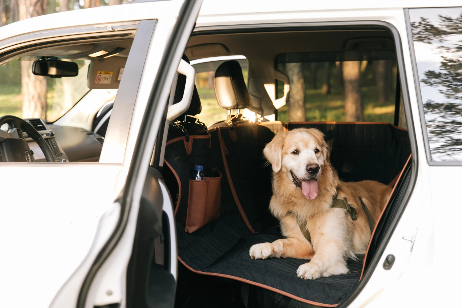 dog back seat cover for Dodge Charger