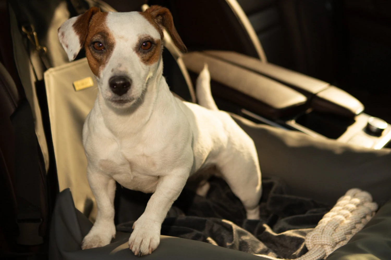 Bull Terriers Dog Car Seat for Toyota Prius