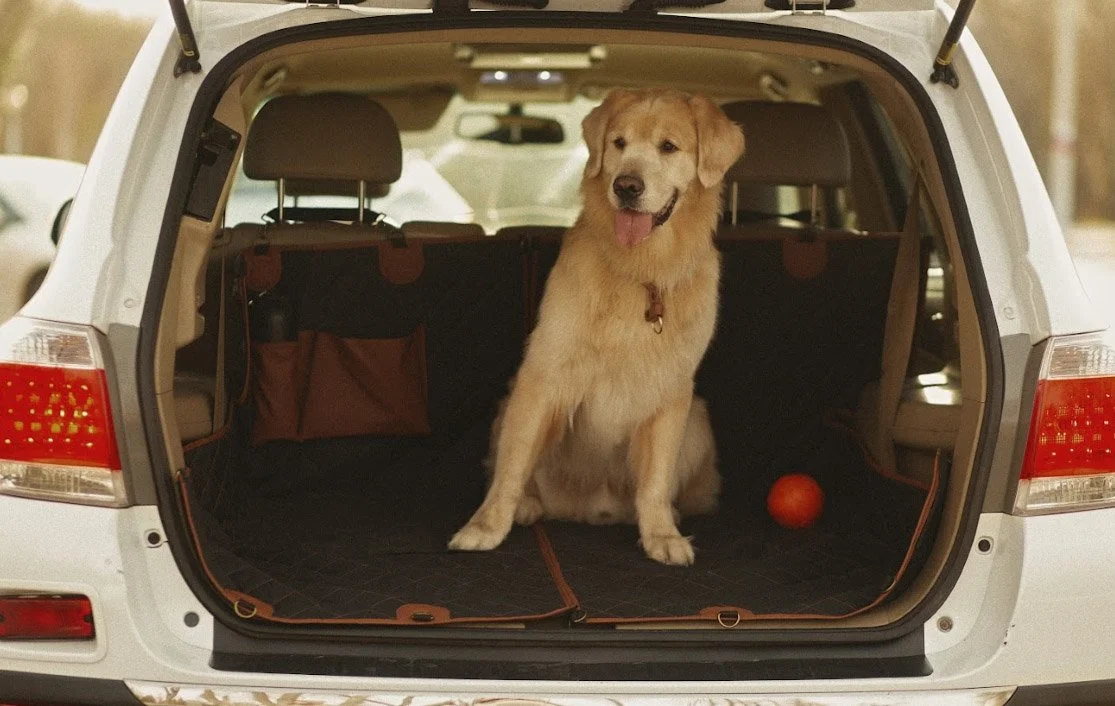 pet seat cover for Volkswagen Passat