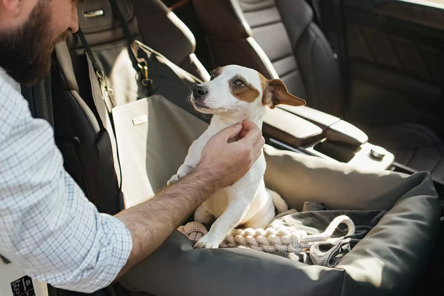 Border Terriers Dog Car Seat for Nissan Frontier