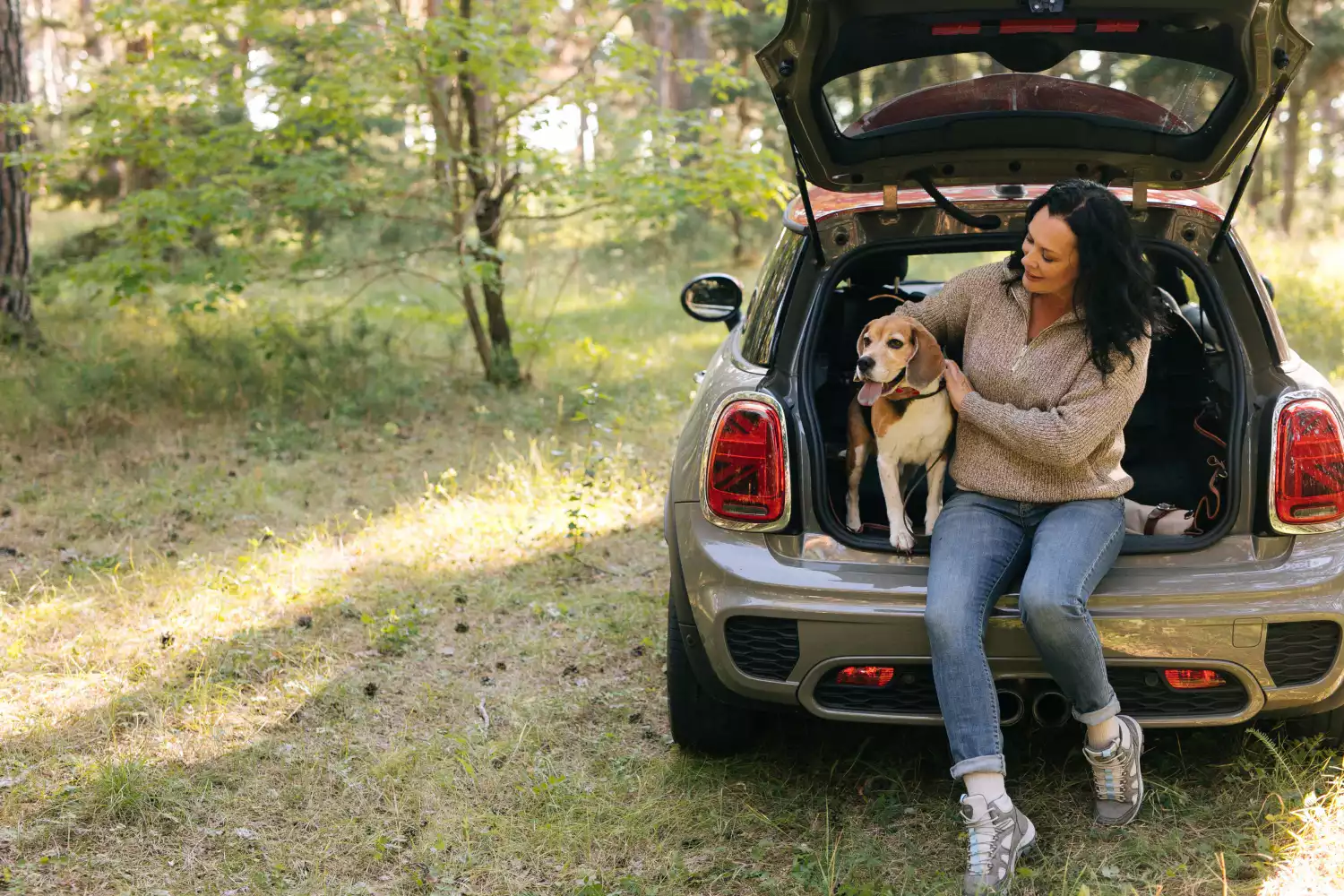 pet seat cover for Lexus RX