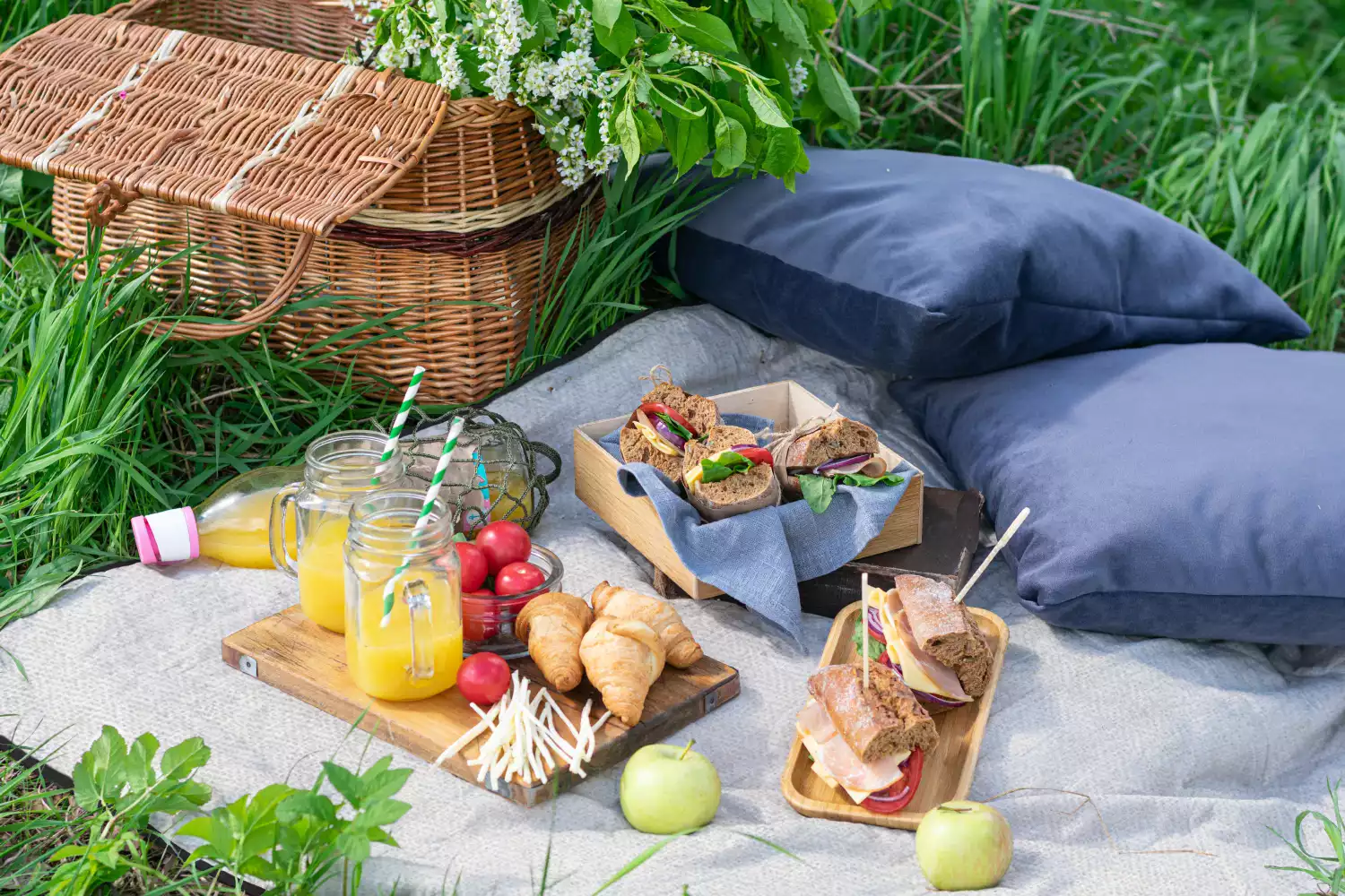 white picnic blanket