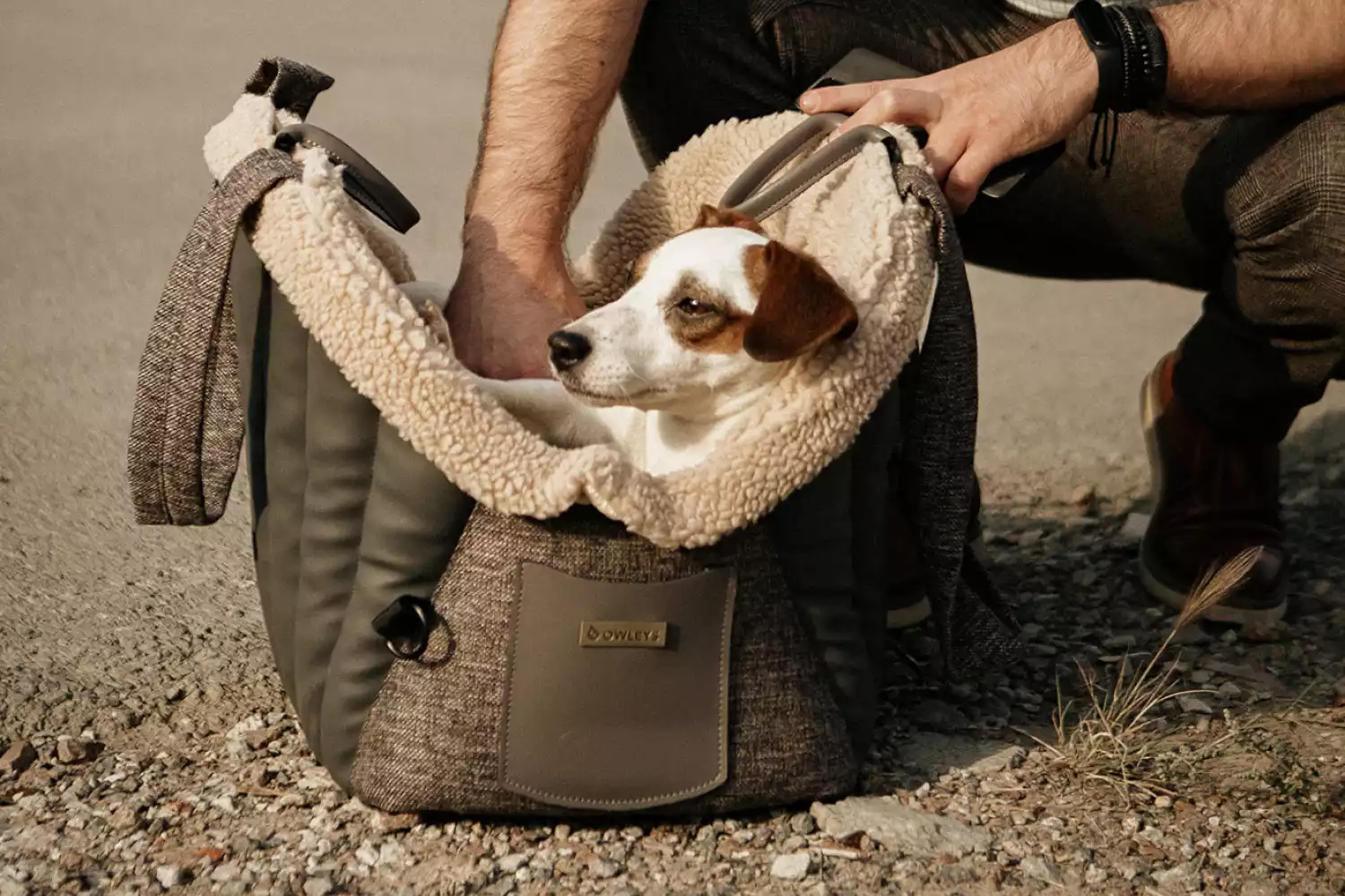 Audi Q5 Dog Carrier Car Seat for Bichon Frise