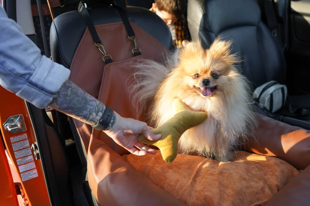 Audi A4 Dog Car Seat for Affenpinschers