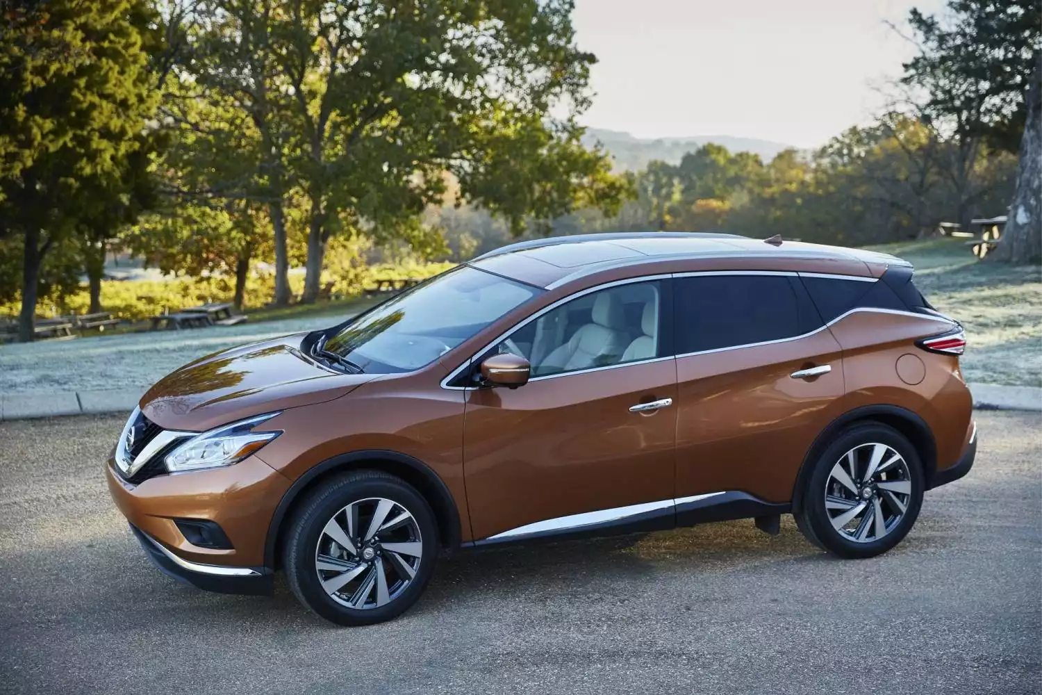 Nissan Murano rear storage