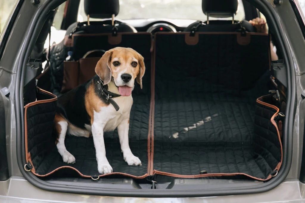 Staffordshire Bull Terriers back seat cover for Ford Mustang