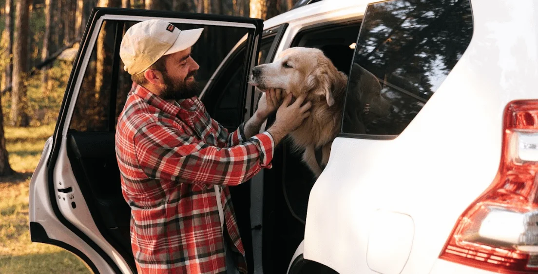 Chevrolet Silverado Dog Safety Belt for Chesapeake Bay Retrievers