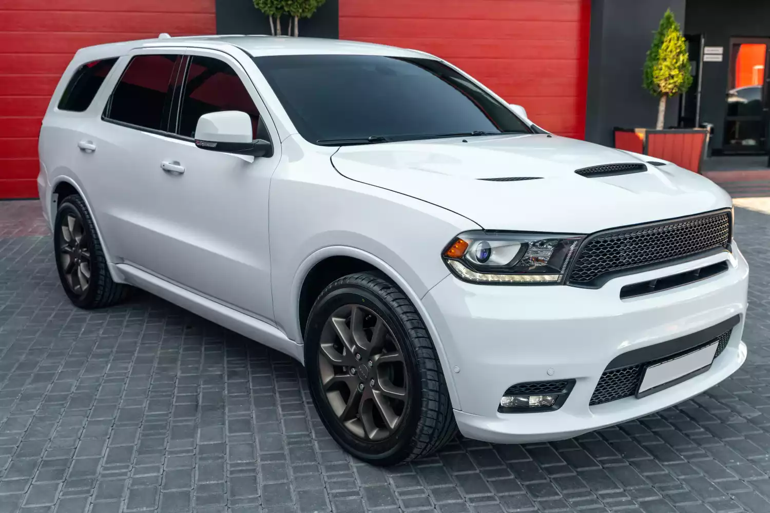 Dodge Durango organizer for road trip