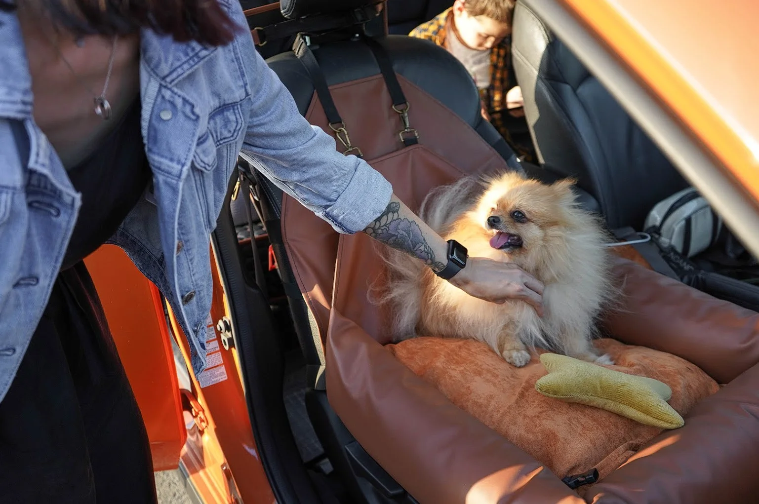 Sussex Spaniels Dog Car Seat for Chevrolet Silverado